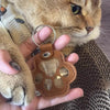 Brown leather keychain with paw design held by a person, with a cat in the background.
